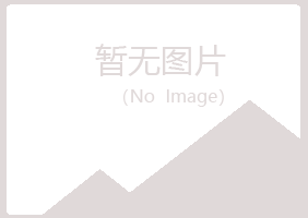 鹤岗兴山青曼采矿有限公司